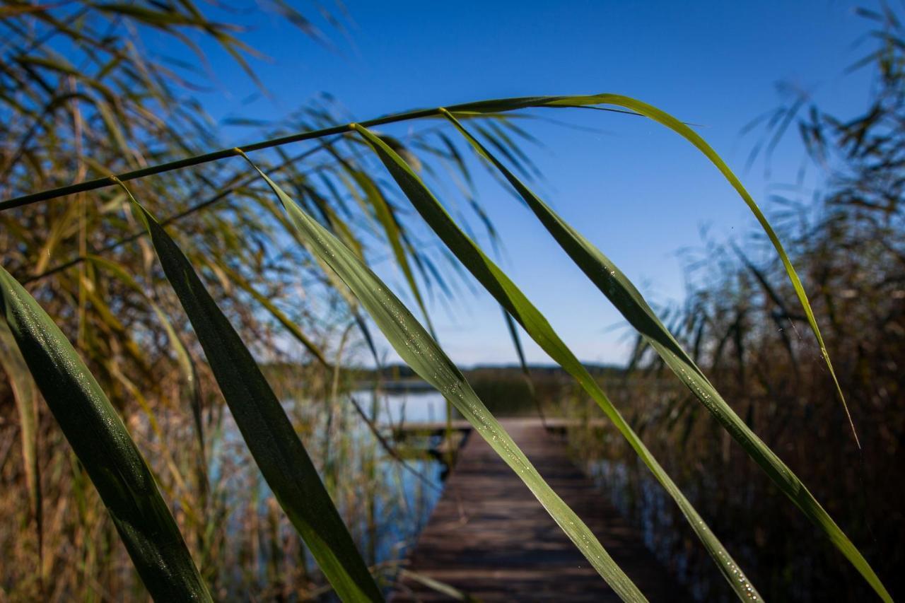 Saski Zakatek, Wakacje W Bajkowym Domku!!! Mazury, Sauna, Jezioro, Pomost, Sasek Maly 外观 照片