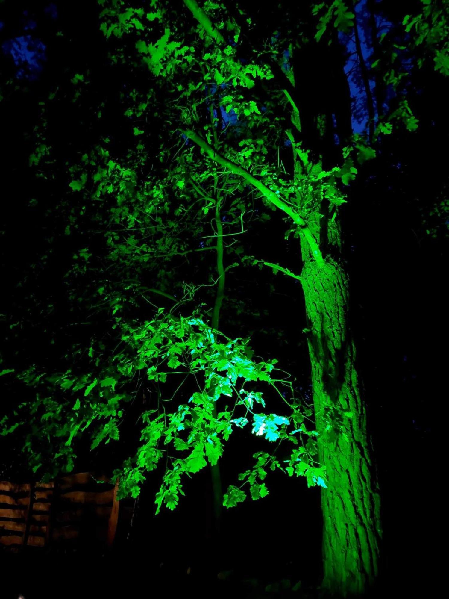 Saski Zakatek, Wakacje W Bajkowym Domku!!! Mazury, Sauna, Jezioro, Pomost, Sasek Maly 外观 照片
